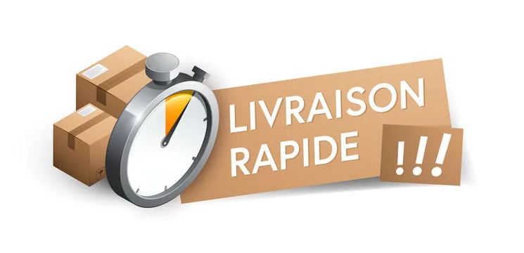 Livraison rapide